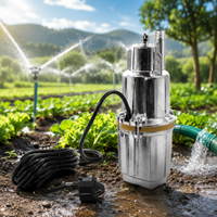 Potapajuća Pumpa 600W Ruček / Pumpa za Navodnjavanje i Drenažu 1