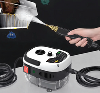 👉 SteamPro® Profesionalni Multifunkcionalni Paročistač (2500W, 1.2L) 3